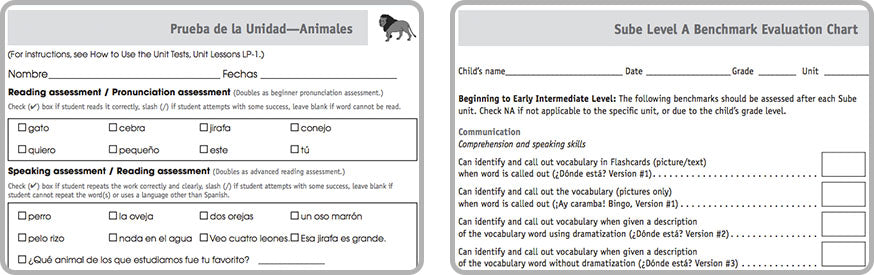 SSL ESL evaluation test teach elementary curriculum