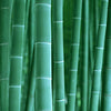 bamboo viscose for latuza