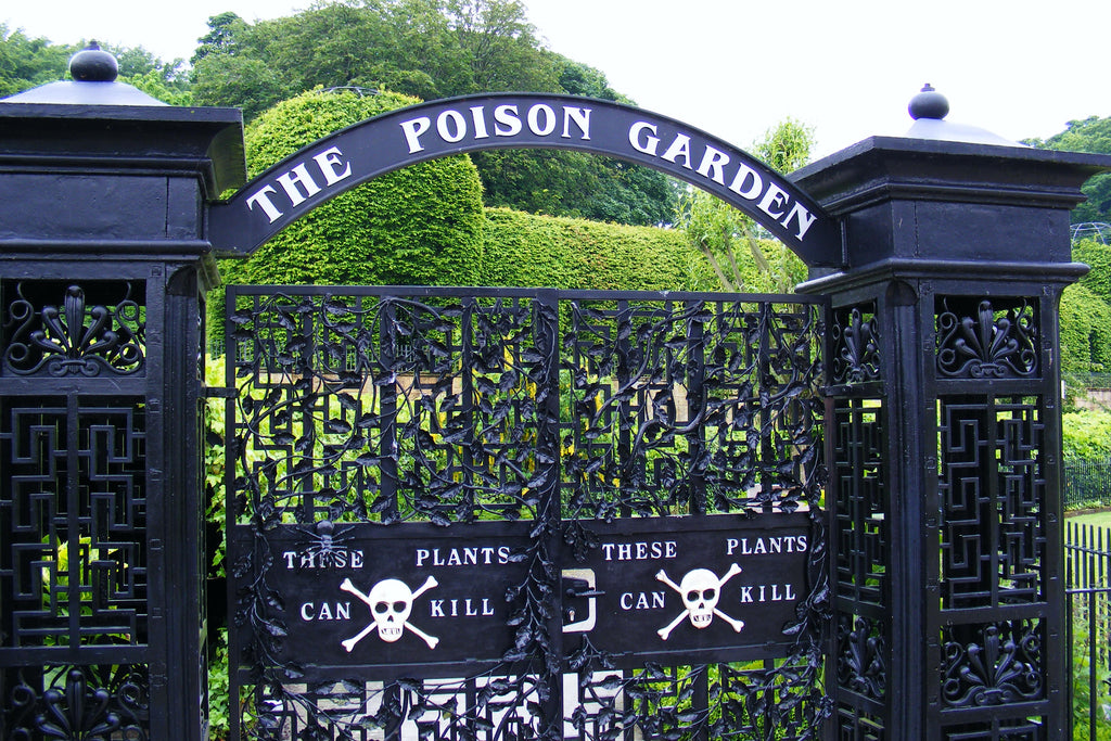 The Alnwick Poison Garden By Jane Canaway Improbablepress