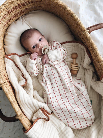 Newborn baby in a Moses basket wearing a sleep sack