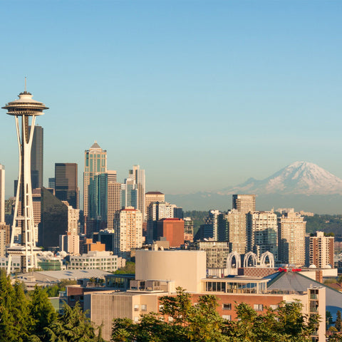 Seattle skyline with Mt Rainier in background