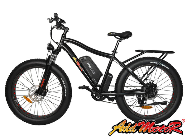 fat tire electric bike 750 watt