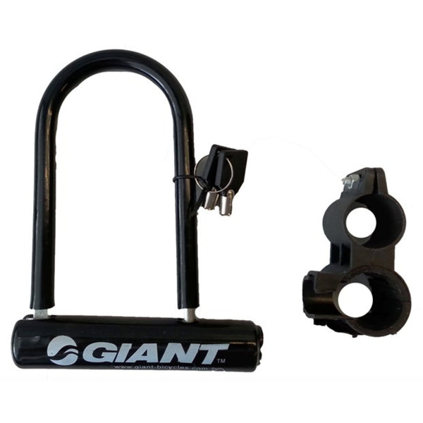 seat stay mount