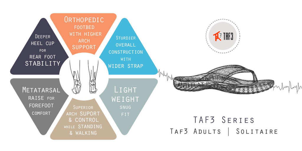 TAF3 flip flop