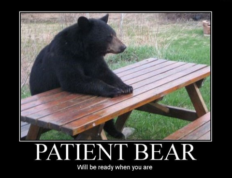 be patient like a bear