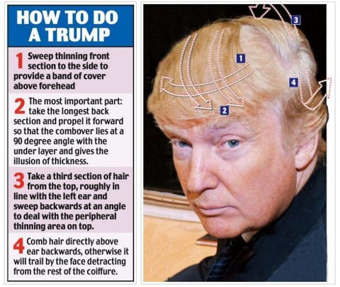 President Donald Trump's hair style 