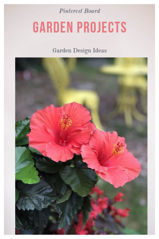 Garden Design Project Ideas