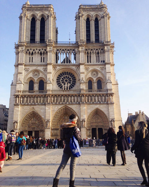 Hull & Stern at Notre Dame Cathedral Paris France