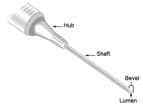 Needle Anatomy