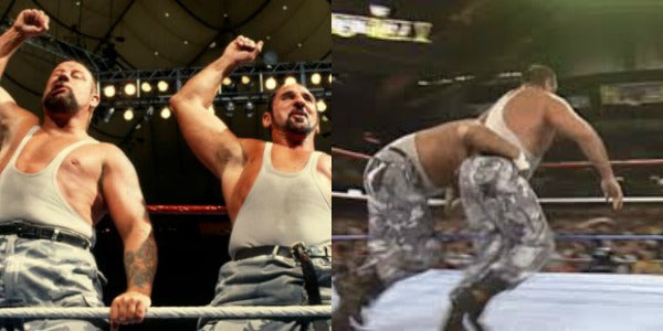 The 30 best wrestling finishers of all time - bushwackers