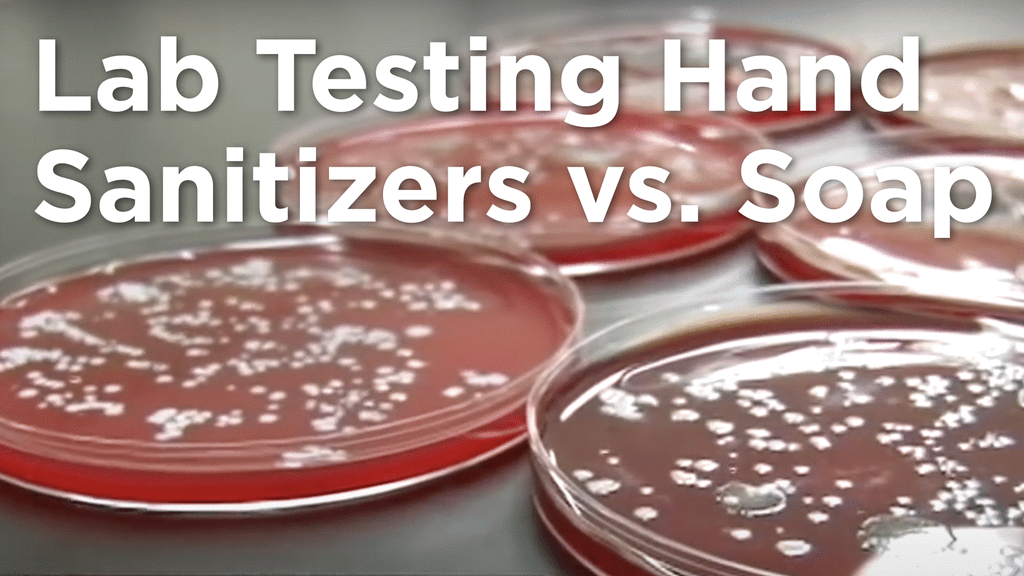 Lab Testing Hand Sanitizers Vs Soap The Healing Tree Lab Testing Hand Sanitizers Vs Soap The Healing Tree