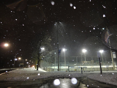 snowy high park