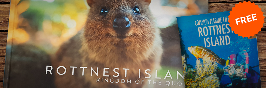 Kingdom of the Quokka Offer