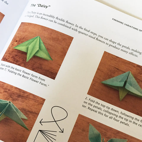 Origami Bonsai by Tuttle Publishing