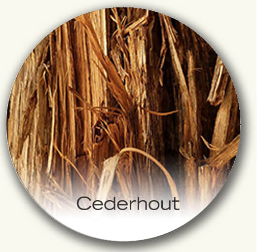 Fonkeling Metalen lijn gemeenschap Cederhout als parfum ingrediënt – Perfume Lounge