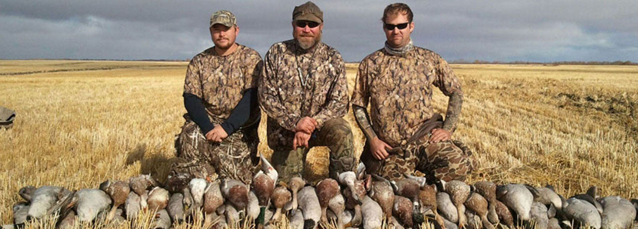 canada goose hunting