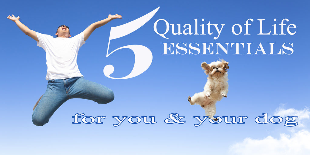 5 quality of life essentials for you and your dog - dogs for the earth - organic dog food