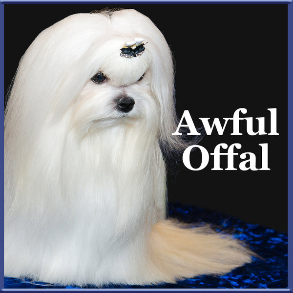 awful offal maltese dogs  want dogs for the earth