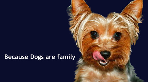 dogs are family dogs for the earth organic dog food