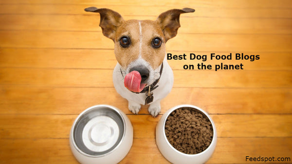 top 100 dog food blogs on the planet - dogs for the earth
