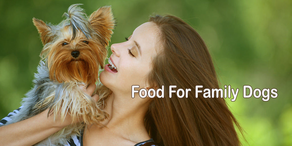 Yorkie Food and food for family dogs - dogs for the earth organic dog food