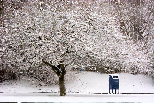 snow and mailbox