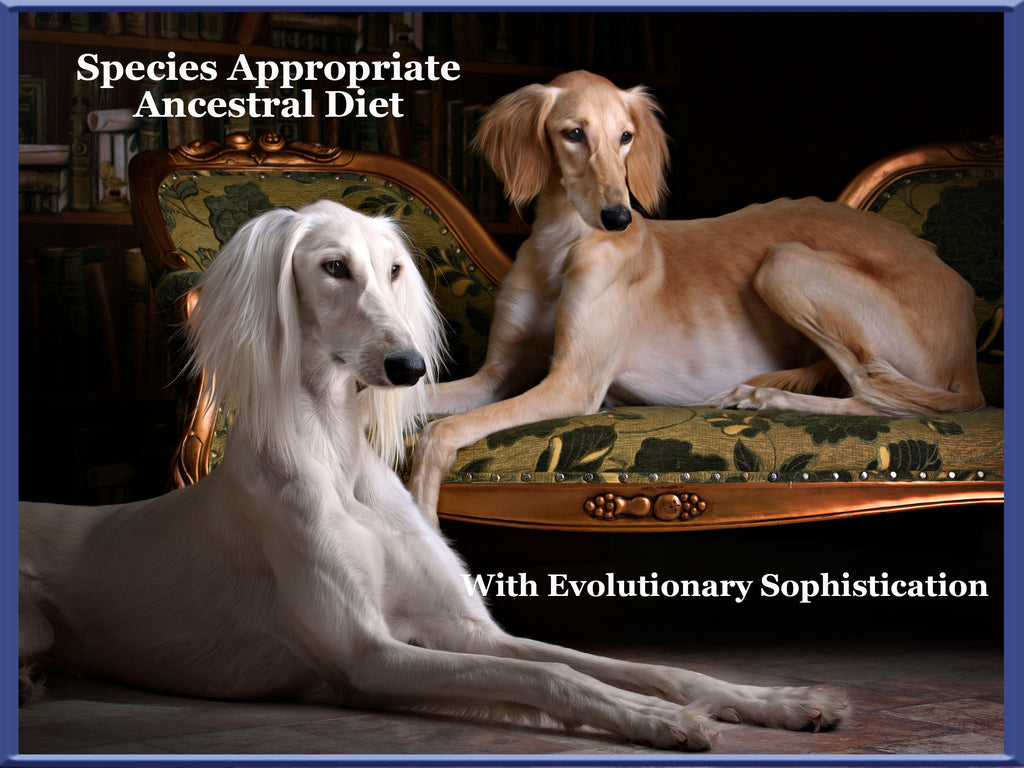species appropriate ancestral diet greyhounds dogs for the earth
