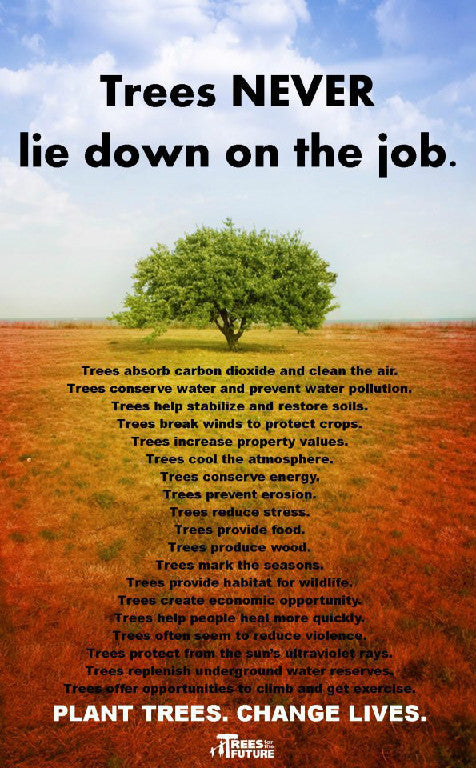 Trees never lie down on the job