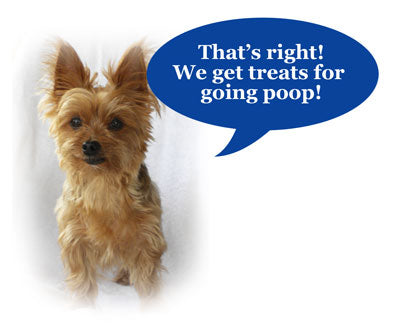 Treat your dog for going poop