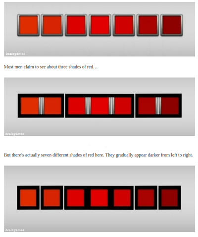 Color chart, quilt fabric, 