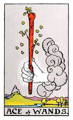 Ace of Wands Meaning - Original Rider Waite Tarot Depiction