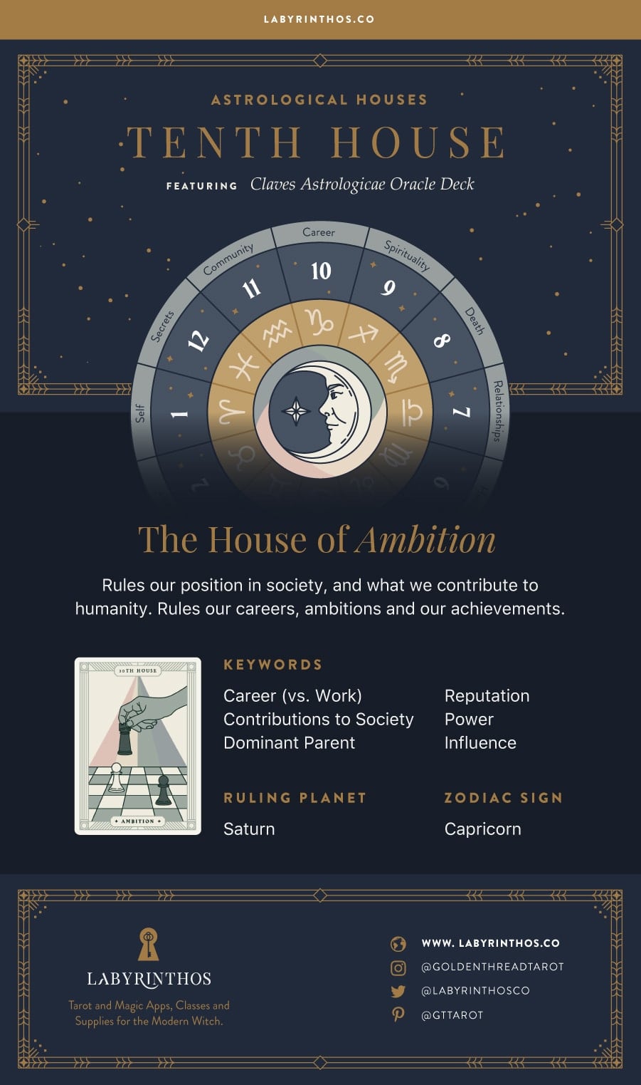 The Tenth House: The House of Ambition - the 12 Houses of Astrology Infographic