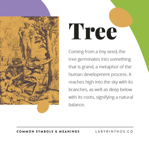 Tree Symbolism - Tree Symbol Meaning in Tarot