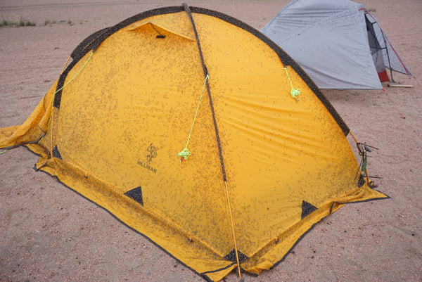 Unreal amount of mosquitos at Achit Lake in Mongolia