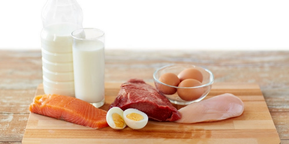 Different types of protein