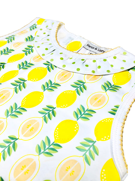 Girl's "Lemonade Stand" pima print A Line dress – Little Threads Inc. Children's