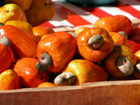 Cashew Nuts