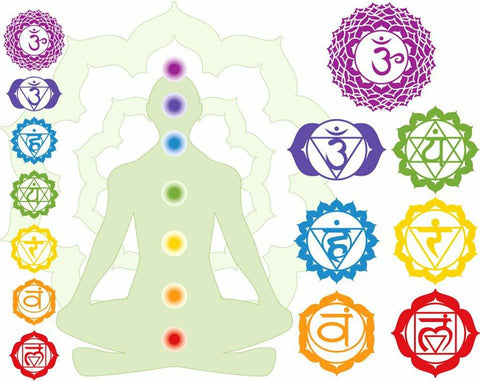 Seven chakras in body