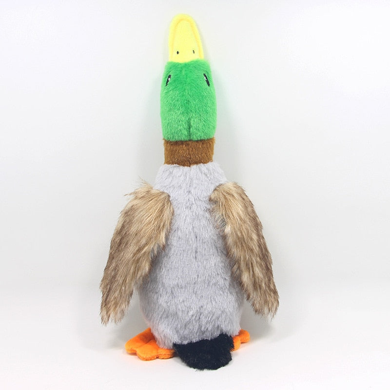 Squeaky Dog Toy