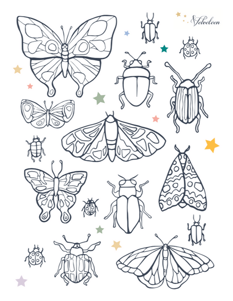 Bugs and Butterflies Activity Sheet