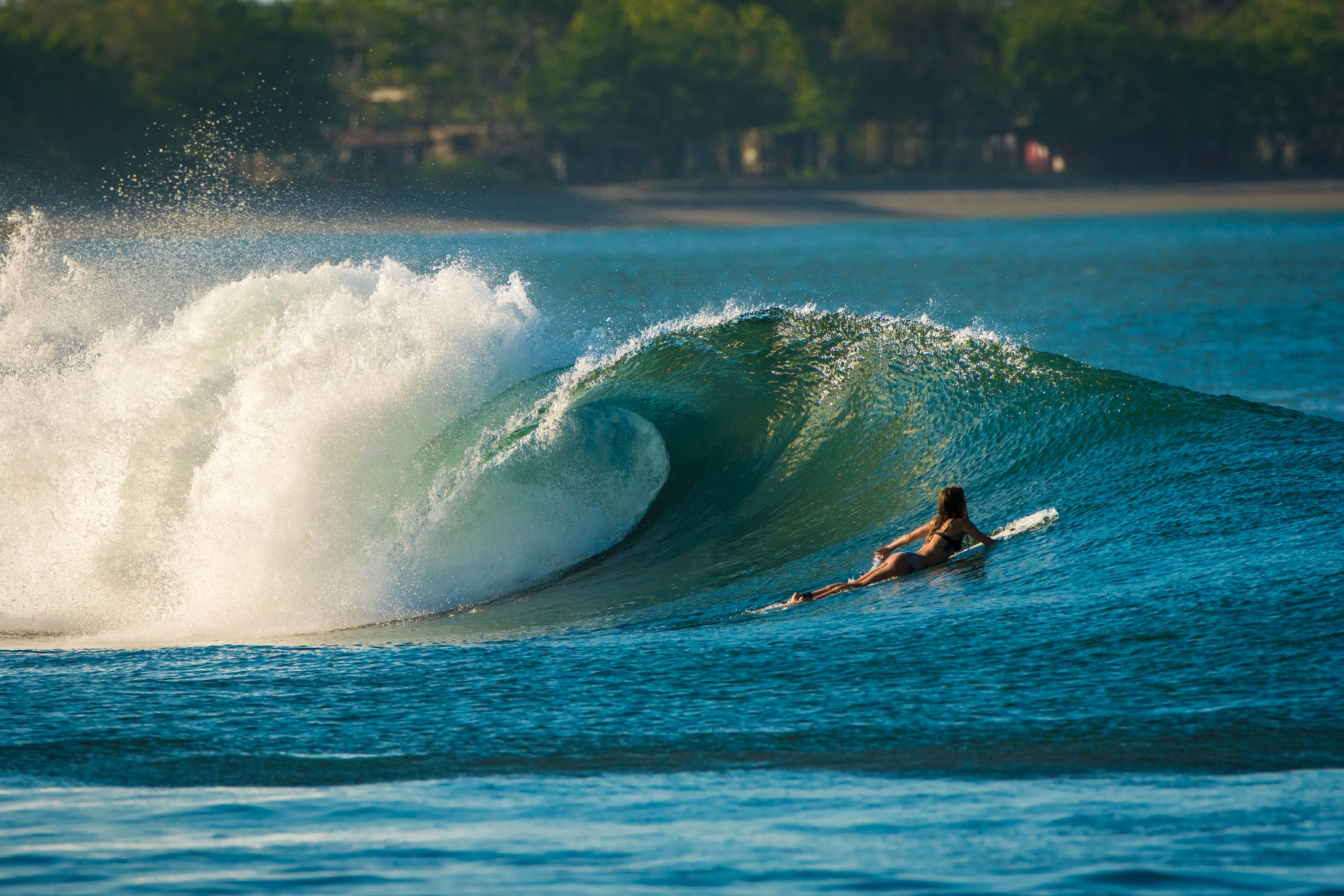 la barra surf resort