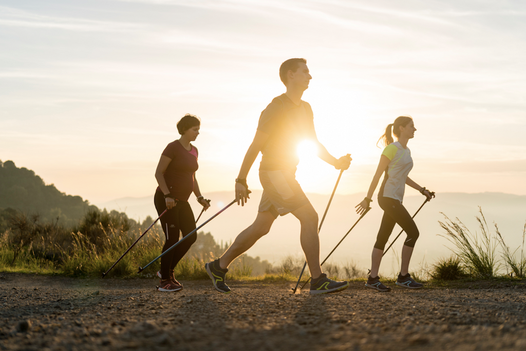 walking poles decathlon