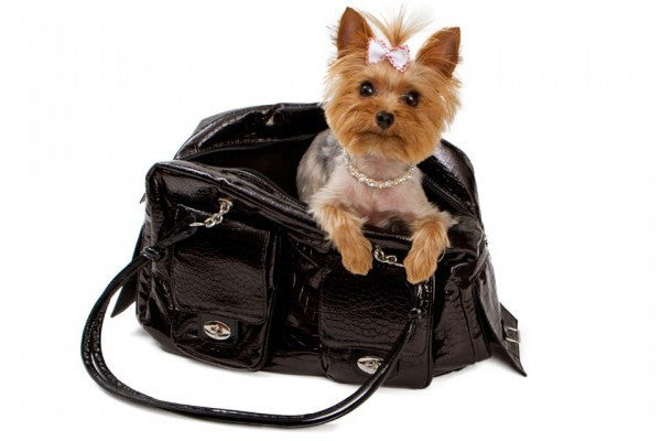 purse dogs