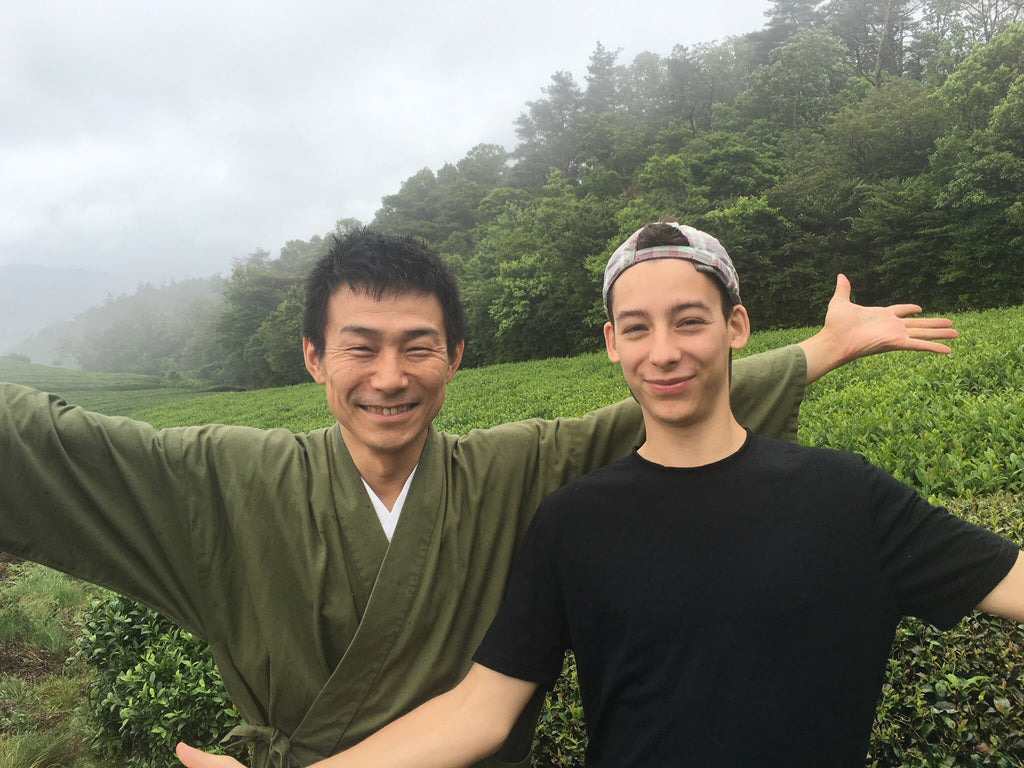 Valentin dans un champs de thé matcha au Japon