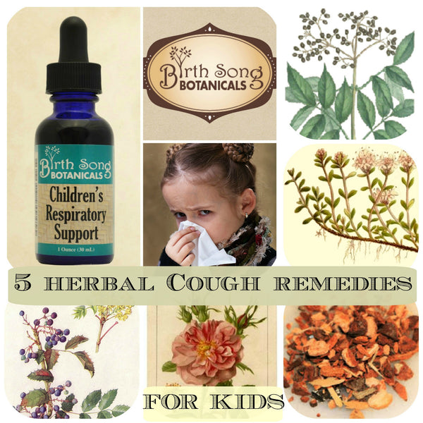 5 Herbal Cough Remedies For Kids Birth Song Botanicals Co