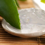 Aloe Barbadensis Leaf Juice