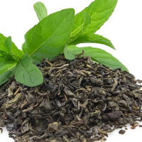 Organic Green tea extract