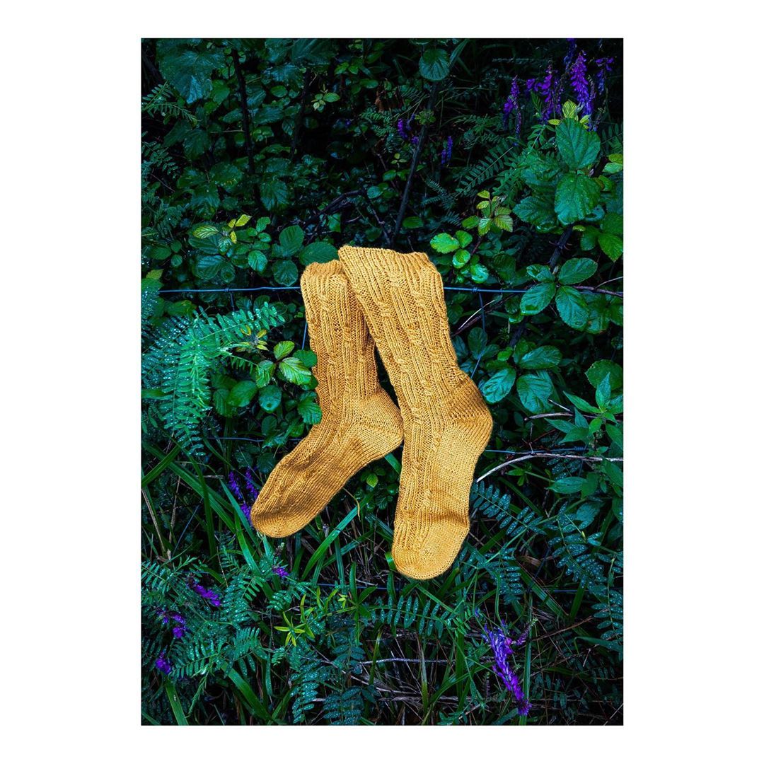 Bright yellow socks handing in the dark green foliage.