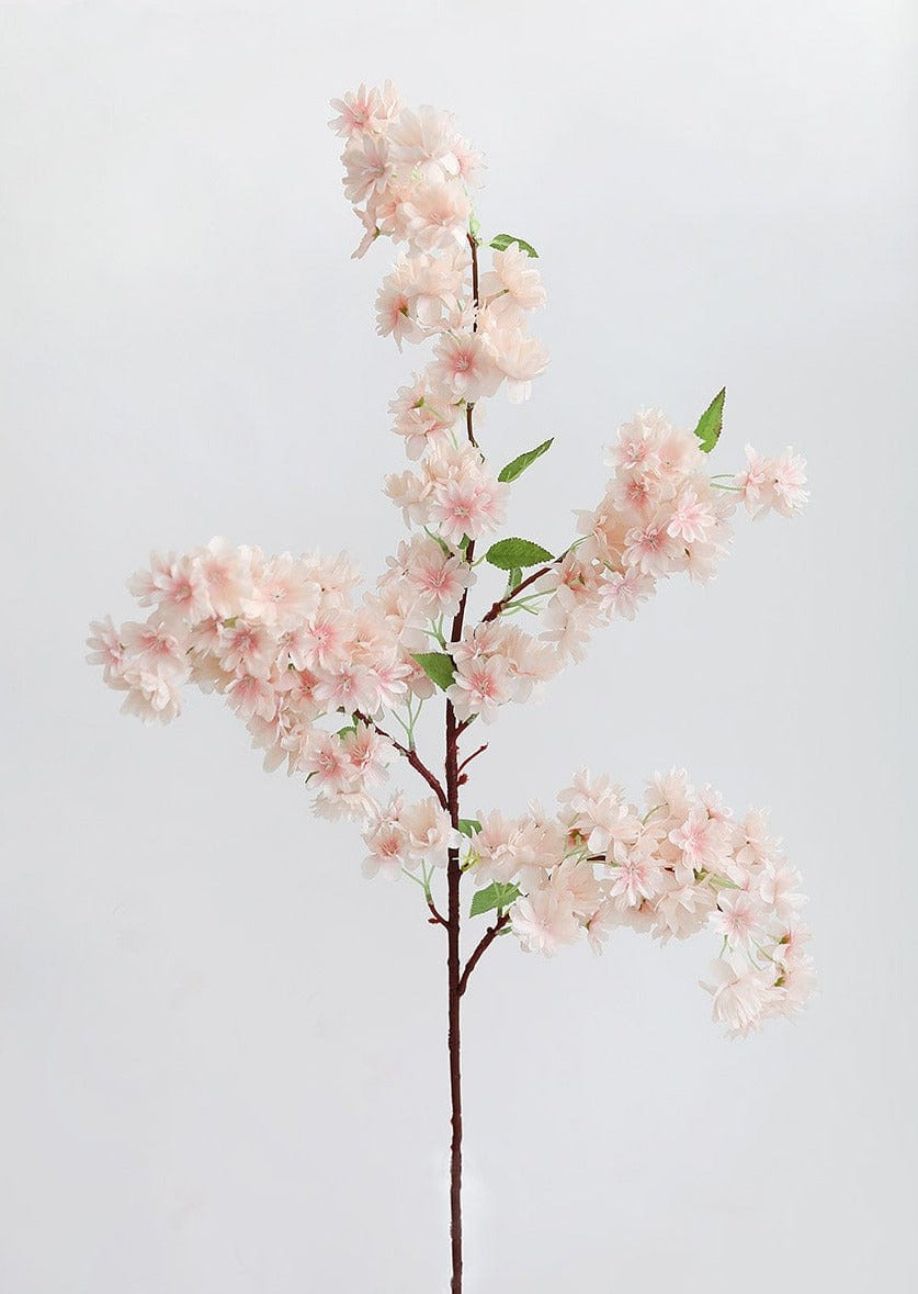 pink cherry blossom flower branch