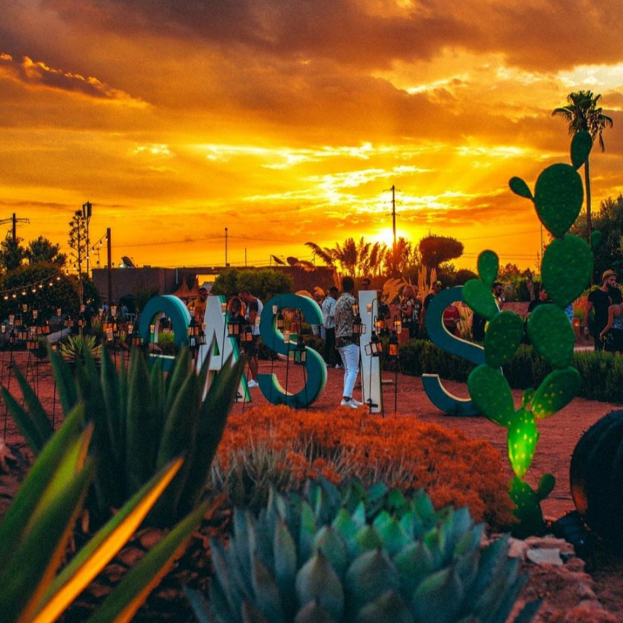 Oasis Festival Morocco 